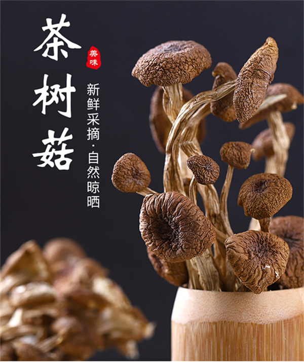 茶樹(shù)菇_01.jpg