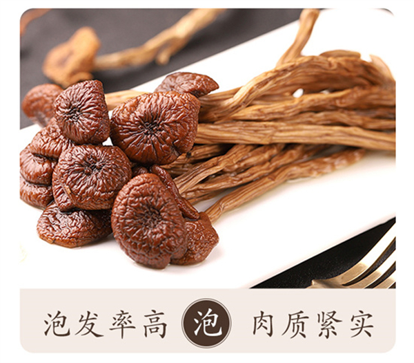 茶樹(shù)菇_04.jpg